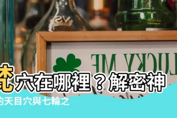 【梵穴位置】梵穴在哪裡？解密神秘的天目穴與七輪之外的秘密輪穴