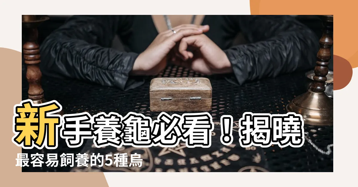 【什麼烏龜最好養】新手養龜必看！揭曉最容易飼養的5種烏龜