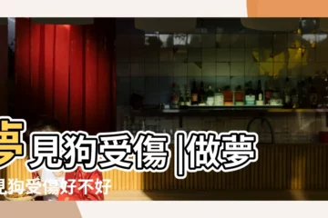 【做夢我家的狗受傷】夢見狗受傷 |做夢夢見狗受傷好不好 |夢到自己的狗狗受傷 |