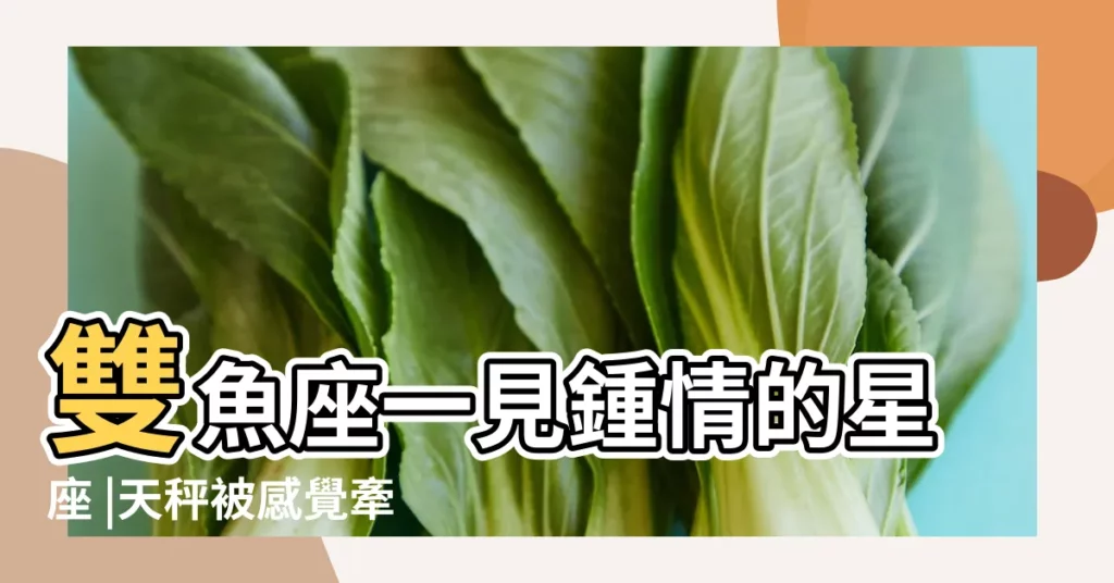 雙魚座一見鍾情的星座 |天秤被感覺牽著走 |雙魚一眼就認定 |【雙魚女一見鍾情的星座】