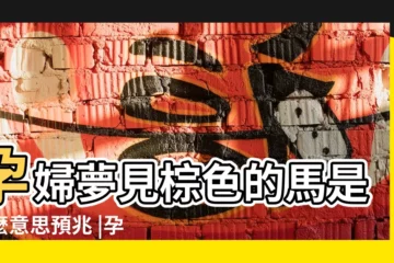 【孕婦夢到棕色光的馬】孕婦夢見棕色的馬是什麼意思預兆 |孕婦夢見棕色的馬什麼意思 |夢見孕婦棕色的馬是什麼意思 |