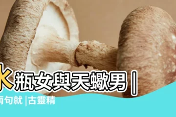 【水瓶女和天蠍男】水瓶女與天蠍男 |講兩句就 |古靈精怪水瓶女個性天差地遠 |