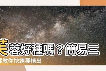 【芙蓉好種嗎】芙蓉好種嗎？簡易三步驟教你快速種植出茂盛繁花的芙蓉