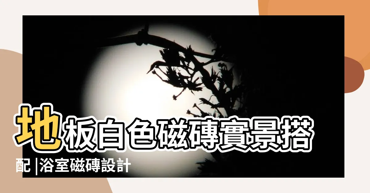 【白色浴室磁磚配色】地板白色磁磚實景搭配 |浴室磁磚設計 |配色推薦 |