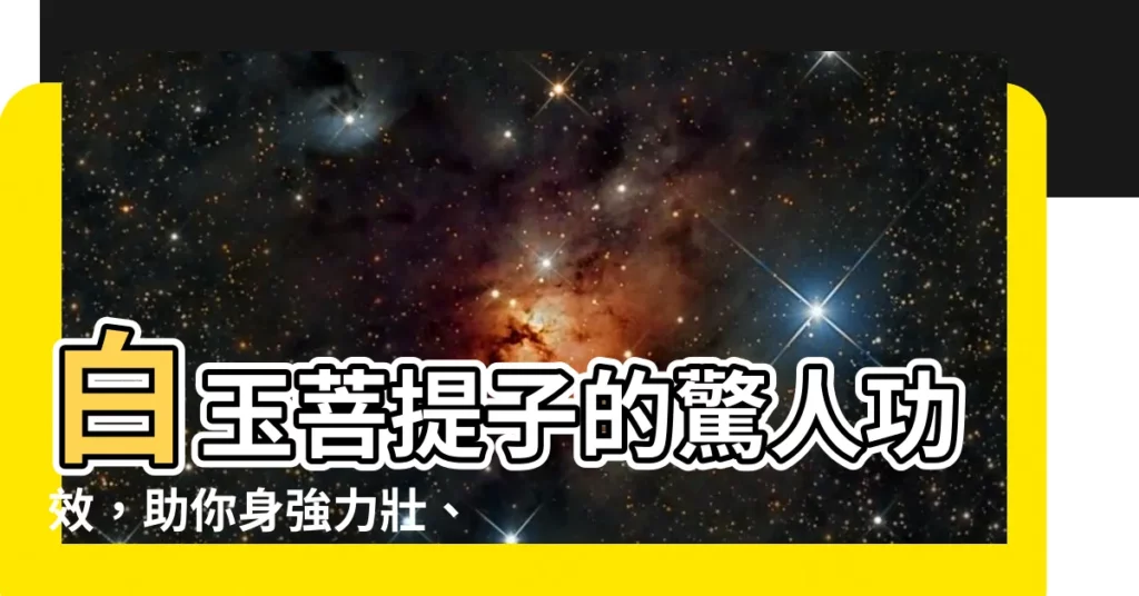 【白玉菩提子功效】白玉菩提子的驚人功效，助你身強力壯、萬事亨通！