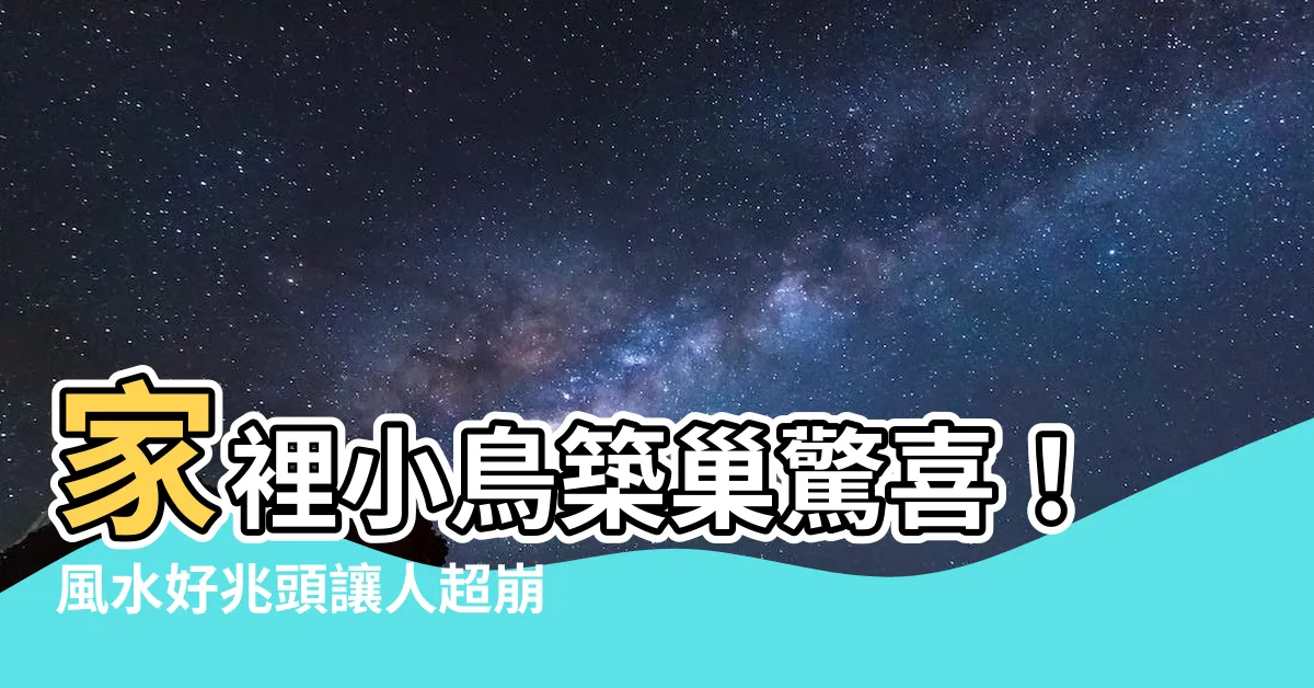 【家裡有小鳥築巢】家裡小鳥築巢驚喜！風水好兆頭讓人超崩潰