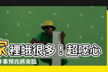 【家裡蛾很多】家裡蛾很多！超噁心兩件事預兆將來臨