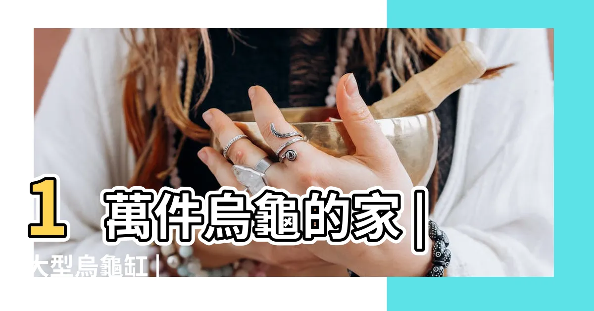 【烏龜 家】1萬件烏龜的家 |大型烏龜缸 |