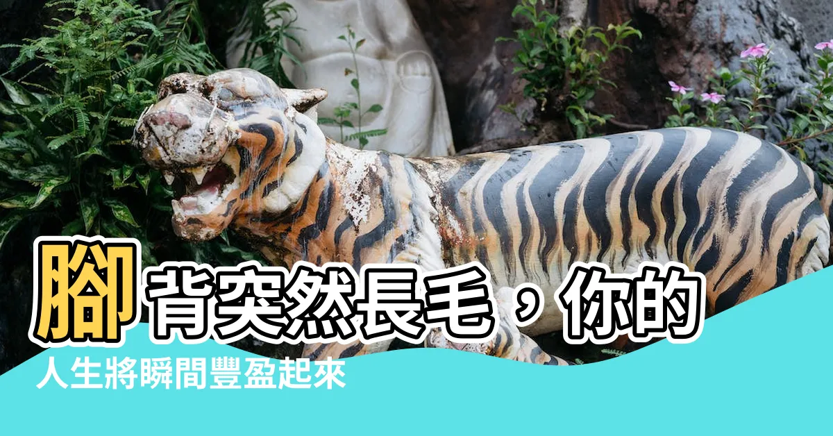 【腳背突然長毛】腳背突然長毛，你的人生將瞬間豐盈起來！