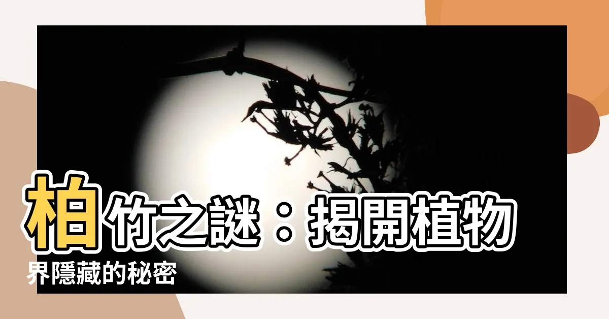 【柏竹】柏竹之謎：揭開植物界隱藏的秘密