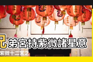 【紫微鬥數兄弟宮】兄弟宮持紫微諸星意義 |紫微十二宮之兄弟宮 |紫微星入兄弟宮 |