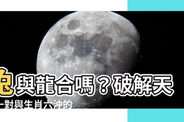 【兔和龍合嗎】兔與龍合嗎？破解天生一對與生肖六沖的婚姻迷思