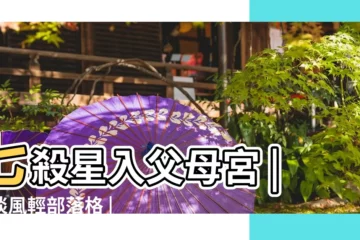 【父母 武曲 七殺】七殺星入父母宮 |雲淡風輕部落格 |七殺星坐守父母宮的分析 |