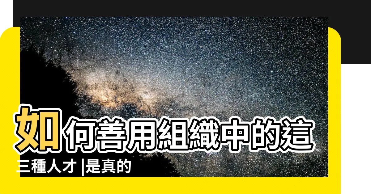【貓來】如何善用組織中的這三種人才 |是真的嗎 |貓來起大厝 |