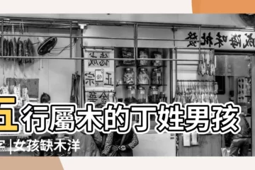 【男孩取名缺木 丁姓】五行屬木的丁姓男孩名字 |女孩缺木洋氣名字姓丁 |丁姓缺木男孩取名 |