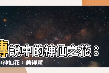 【神仙花】傳説中的神仙之花：花中神仙花，美得驚為天人
