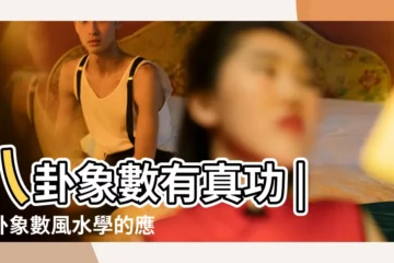 【八卦象數外應風水】八卦象數有真功 |八卦象數風水學的應用心得 |八卦象數風水學 |