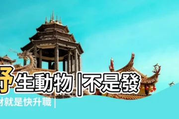 【夢見鹿變成女生】野生動物 |不是發橫財就是快升職 |夢見動物 |