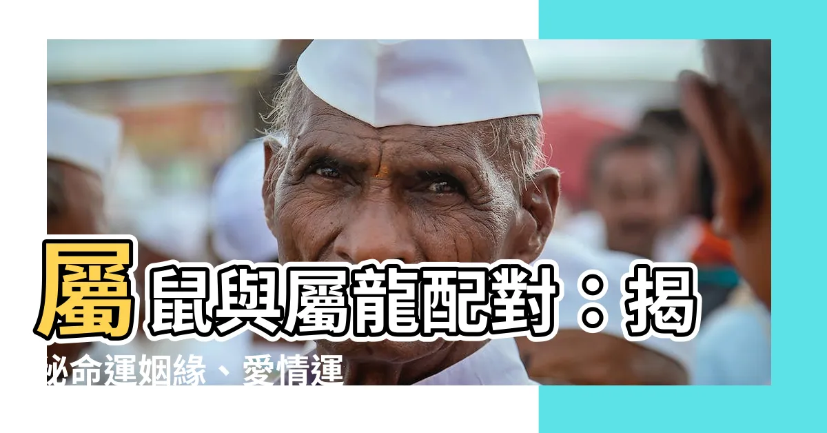 【鼠龍配】屬鼠與屬龍配對:揭秘命運姻緣、愛情運勢!