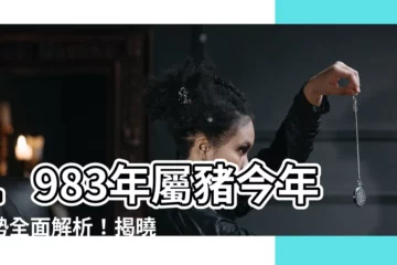 【1983年屬】1983年屬豬今年運勢全面解析！揭曉你各方面運勢！