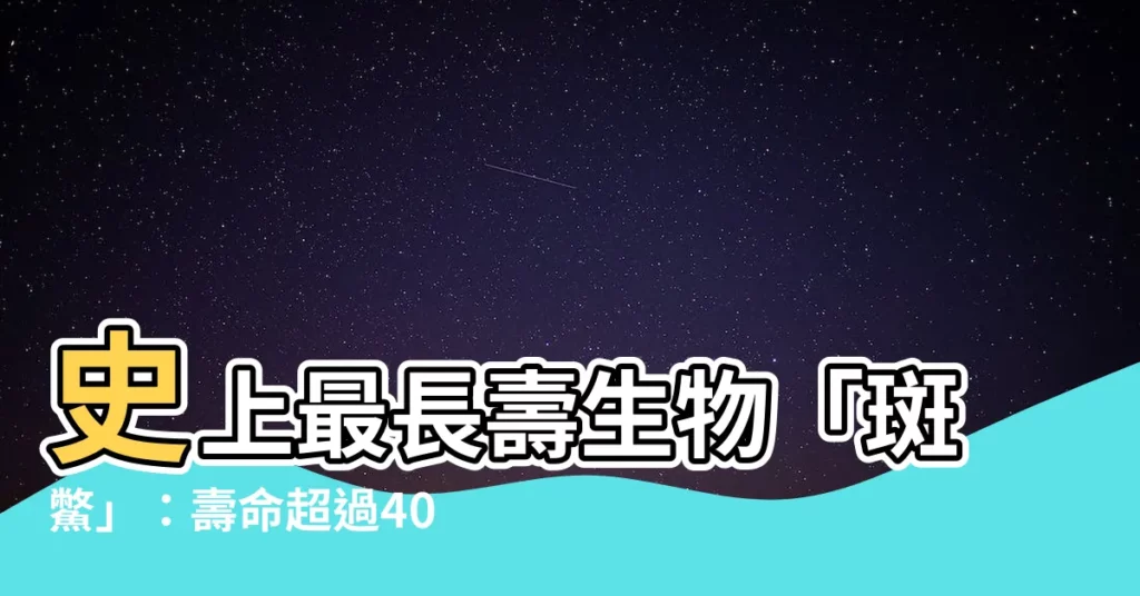 【鱉壽命】史上最長壽生物「斑鱉」：壽命超過400歲，目前全球僅剩3隻