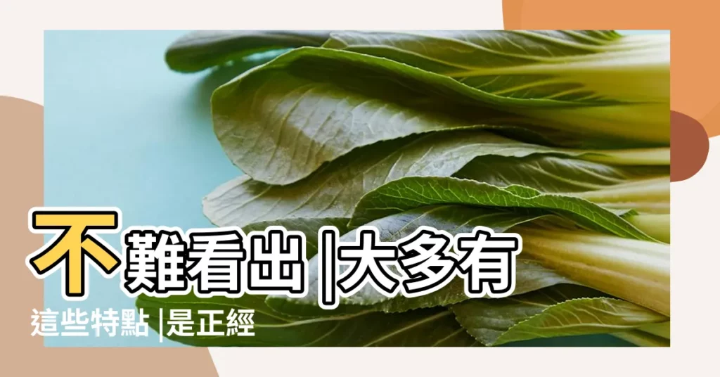 不難看出 |大多有這些特點 |是正經的旺夫相 |【正經女人面相特徵】