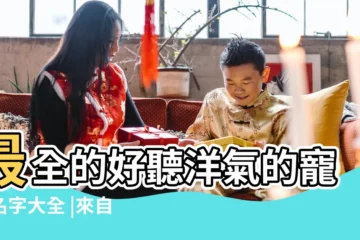 【狗的霸氣的名字大全帶圖片大全】最全的好聽洋氣的寵物名字大全 |來自主人温暖的關愛 |好聽又易記 |