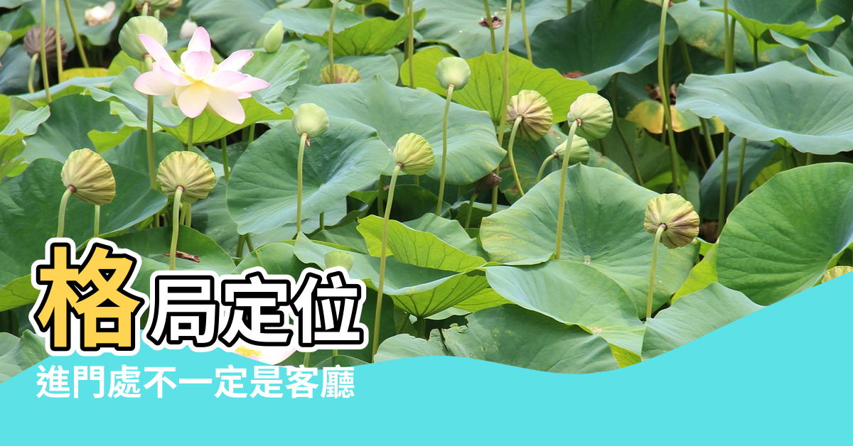 【進門先餐廳後客廳風水】格局定位 |進門處不一定是客廳 |進門見餐廳風水大揭密 |