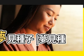 【夢見種子周公解夢】夢見種子 |夢見種子 |