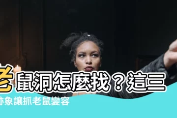 【老鼠洞怎麼找】老鼠洞怎麼找？這三個跡象讓抓老鼠變容易！