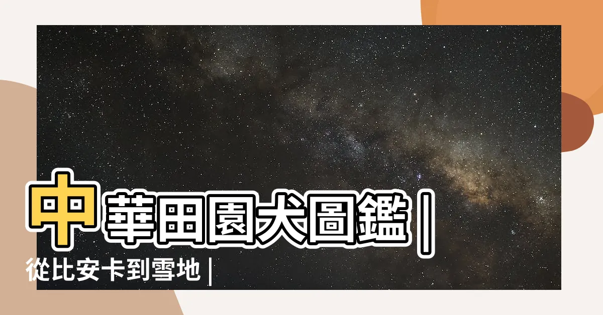【白狗】中華田園犬圖鑑 |從比安卡到雪地 |50個白狗名字 |
