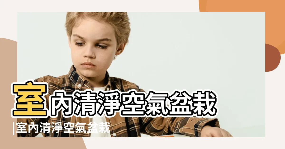 【書帶木聚財】室內清淨空氣盆栽 |室內清淨空氣盆栽 |室內植物觀葉植物 |