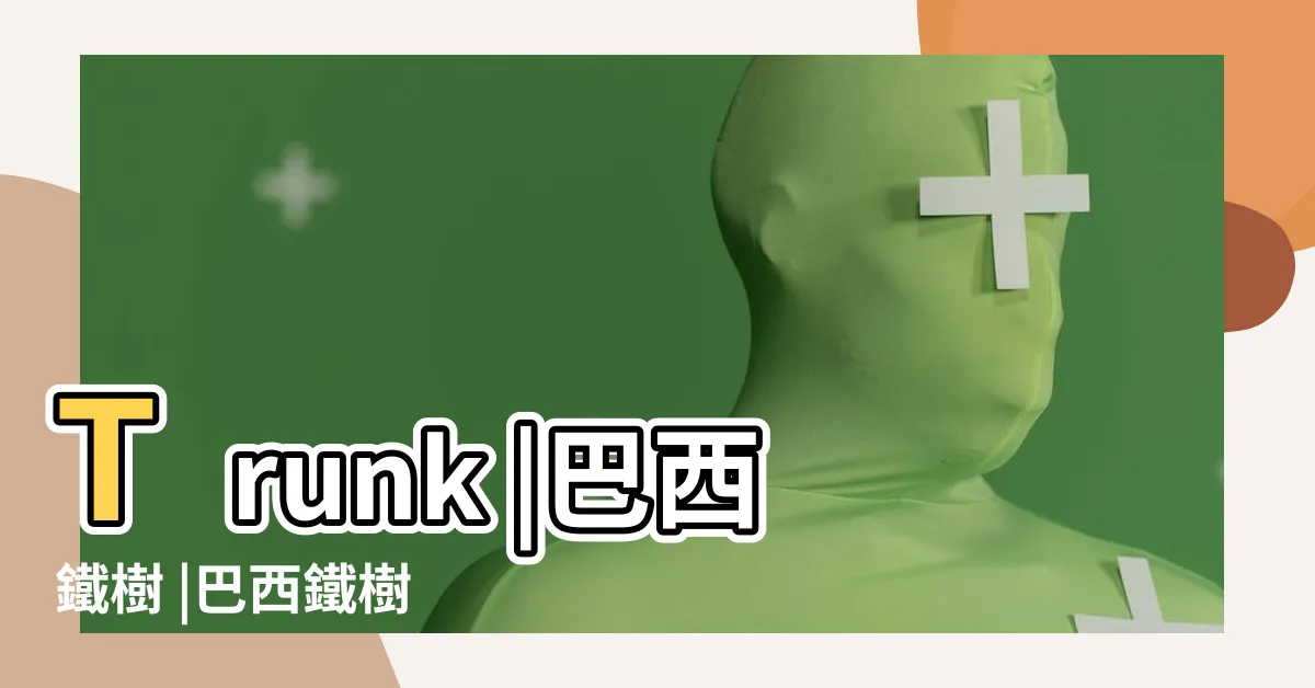 【巴西鐵樹照顧】Trunk |巴西鐵樹 |巴西鐵樹 |