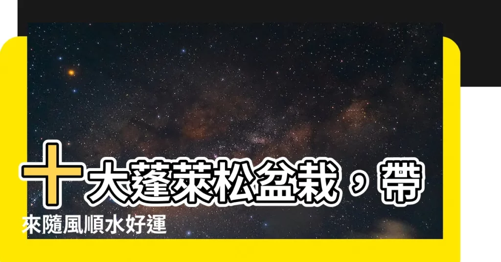 【蓬萊松盆栽】十大蓬萊松盆栽，帶來隨風順水好運