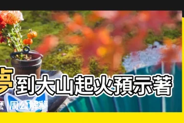 【夢見兒子的車父親抽煙引起爆炸】夢到大山起火預示著什麼 |周公解夢 |夢境號碼解析結果 |
