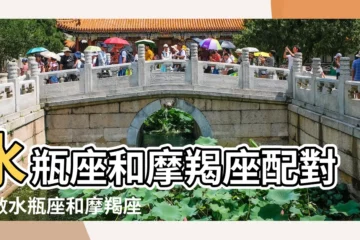 【水瓶座男生和摩羯座配不配】水瓶座和摩羯座配對指數水瓶座和摩羯座配不配 |摩羯座和水瓶座配對指數 |水瓶男和摩羯女配不配 |