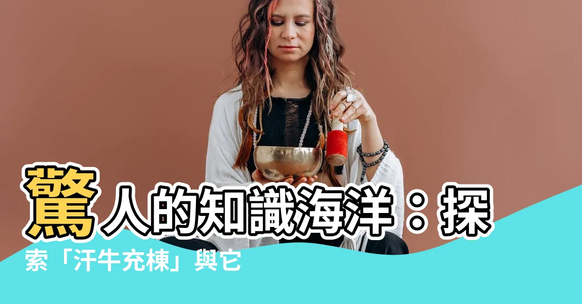 【汗牛充棟相似】驚人的知識海洋：探索「汗牛充棟」與它的同義詞