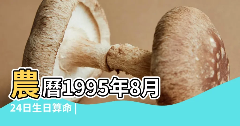 農曆1995年8月24日生日算命 |1995年8月24日出生時間看命運 |1995年8月24日出生日期看命運 |【1995年陰曆8月24日】