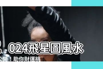 【2024飛星圖】2024飛星圖風水大公開！助你財運桃花運旺到爆