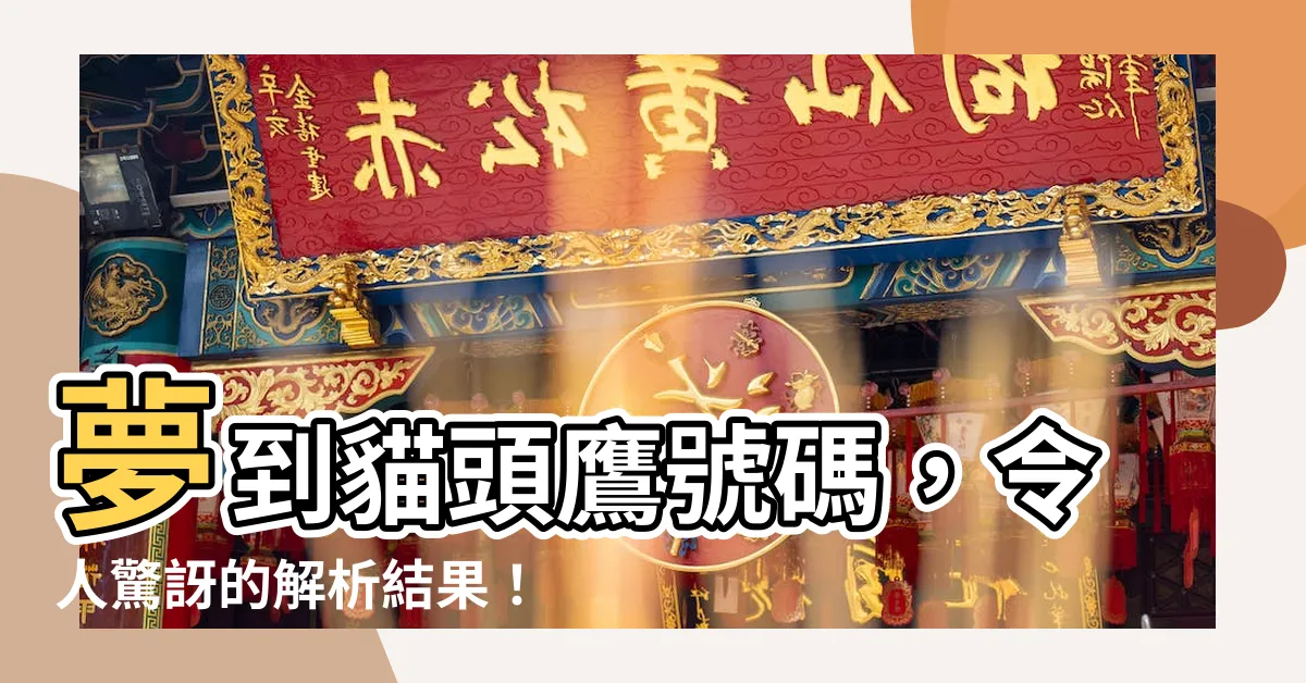 【夢到貓頭鷹號碼】夢到貓頭鷹號碼，令人驚訝的解析結果！