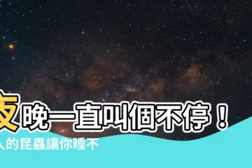 【晚上一直叫的蟲】夜晚一直叫個不停！惱人的昆蟲讓你睡不著覺？