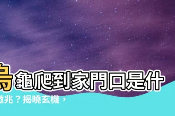 【烏龜爬到家門口】烏龜爬到家門口是什麼徵兆？揭曉玄機，財運亨通好運臨門？