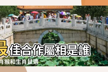 【屬鼠的和屬猴的一起做生意】最佳合作屬相是誰 |生肖猴和生肖鼠適合在一起共事嗎屬鼠與屬猴能不能共事 |鼠和猴做生意合不合財 |