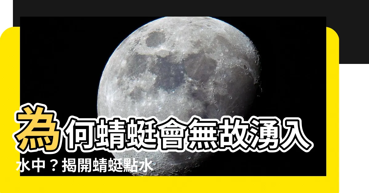 【蜻蜓點水原因】為何蜻蜓會無故湧入水中？揭開蜻蜓點水原因的神秘面紗！