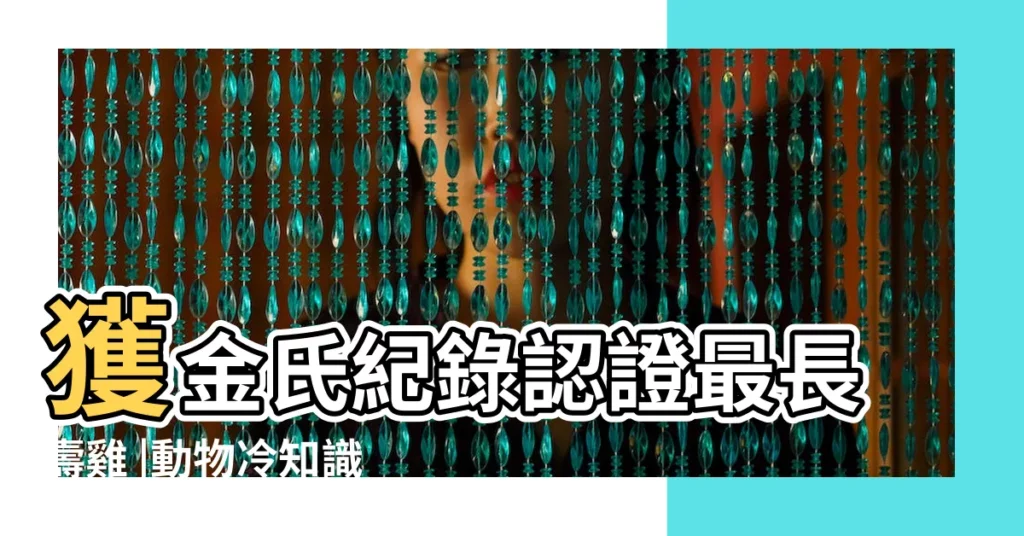 獲金氏紀錄認證最長壽雞 |動物冷知識 |老母雞20歲又304天 |【雞的年齡最長多少年】