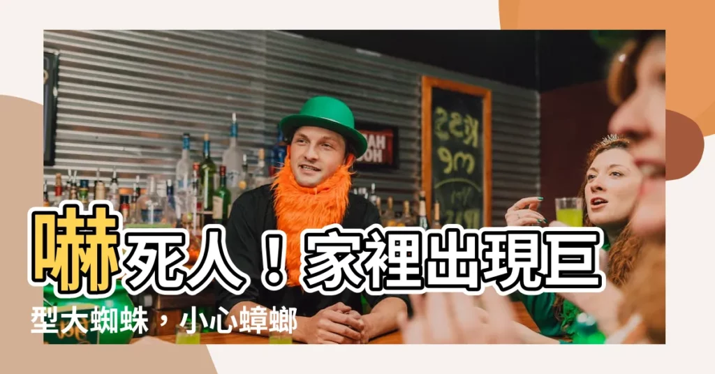 【家裡出現大蜘蛛】嚇死人！家裡出現巨型大蜘蛛，小心蟑螂會越來越多！