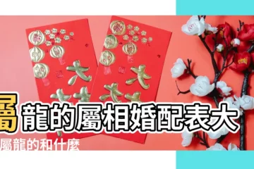 【與龍配對的女屬性】屬龍的屬相婚配表大全 |屬龍的和什麼屬相最配 |屬龍女和什麼屬相最配 |