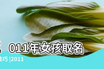 【2011起名大全女孩名字】2011年女孩取名的技巧 |2011兔年女孩名字大全 |2011年女孩取名字大全 |