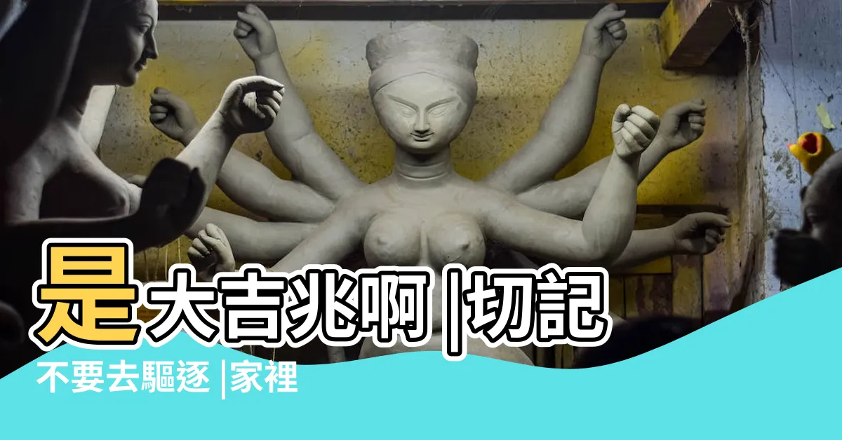 【蝴蝶飛進家裡不走】是大吉兆啊 |切記不要去驅逐 |家裡飛進蝴蝶 |