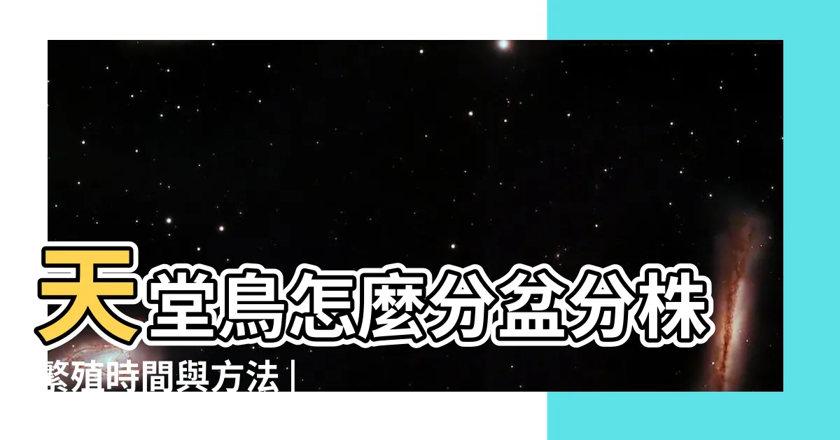 【天堂鳥 分株】天堂鳥怎麼分盆分株繁殖時間與方法 |天堂鳥一棵能繁殖出很多苗嗎 |天堂鳥一棵能繁殖出很多苗嗎 |